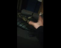 Woman pretends to be a wizard 