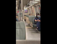 Collab Subway Creatures - Large dog riding subway sits on seat