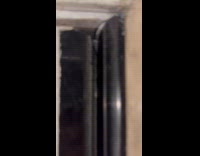 Cricket making chewing noise on submitters garage door 