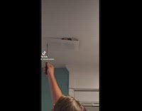 Collab BitchMP - Cat in roof of house refuses to get out 