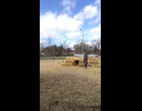 Brown Dog Tackles Black Dog On Hay Bale at Dog Park