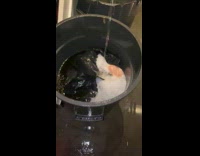 Person wipes water with broom and buckets Part 2