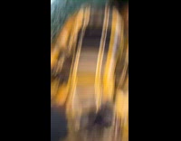 Woman almost falls over ledge into fountain 