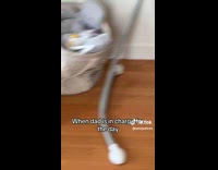 Collab BitchMP - Dad is in charge for the day 