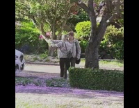 Couple grey jacket selfie throw flower petals