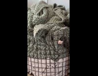 Cat peeking from laundry hamper 