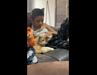 Orange cat bites little boys arm petting him