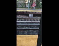 Man red jacket straw hat holds giant red fish at train station