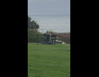 Couple sit raise arms form heart park