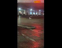 Man falls off highway bridge