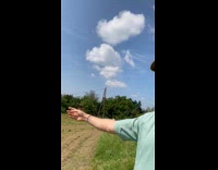 Man whistles and bird came to him