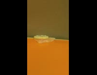 Open used condom in the corner of seat on subway train