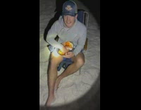 Guy feeds friends buried in sand with heads sticking out