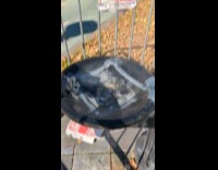 Collab WINY - Steam come out from old water fountain