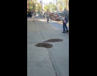 Swarm of bees on street sidewalk ground