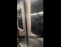 Fake lashes attached on subway door