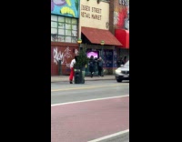 Man pushes Christmas Tree inside garbage bin part 2