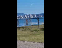 Collab IITW - Man trespass field for TikTok dance video