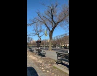 Collab WINY - Man Blows Horn in Public on Bench