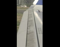 Small bird on parked airplane plane wing 