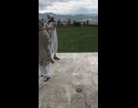 Couple white grey cat costume hold pet