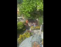 Woman in polka dot dress poses on the railings