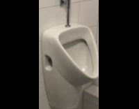 Womens bathroom has two urinals