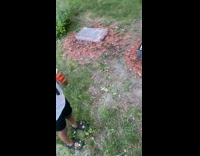 Little girl shows relative video cemetary 