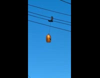 Pumpkin lantern hangs at electric power line 