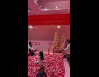 Woman at the pool of museum of ice cream