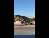 Donkey humps another donkey on the street