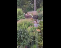Woman in a dress poses while two old people takes her picture