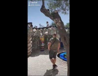 Magic tarot garden mosaic art glass shards 