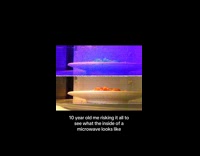 Phone camera inside microwave glitched and broken