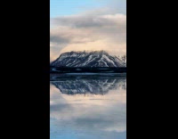 Pack of dogs pulls owner while dogsledding part 1