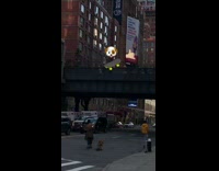 Shirtless guy and bulldog ride skateboards road