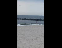 Lady goes swimming at Brighton Beach