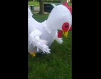 Giant Chicken mascot laid an egg on the grass