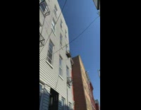 Dog outside on balcony or fire escape 