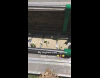 Little boy funeral for the homies 