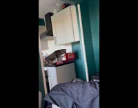 Cat knock over box and bottle kitchen