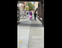 Purple inflatable unicorn costume sidewalk quarantine 