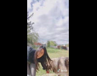 Large wolf dog play bites dancing girl 