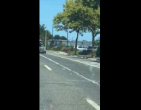 Car spills white paint on road 