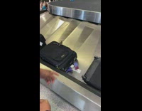 Bird sit on baggage airport conveyor belt