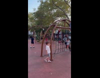 Pet parrot on the climbing net with kids 