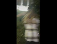 Girl pushes friend into bush on sidewalk 