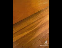 Cat grabs goldfish cracker from under door with paws