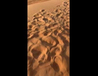 Woman chased by insect on desert