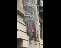 Black spider decoration melania trump web spiderweb 